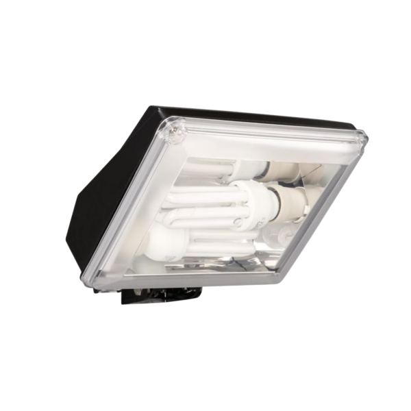 Projecteur de jardin Dakota Philips Massive noir 2×23 W
